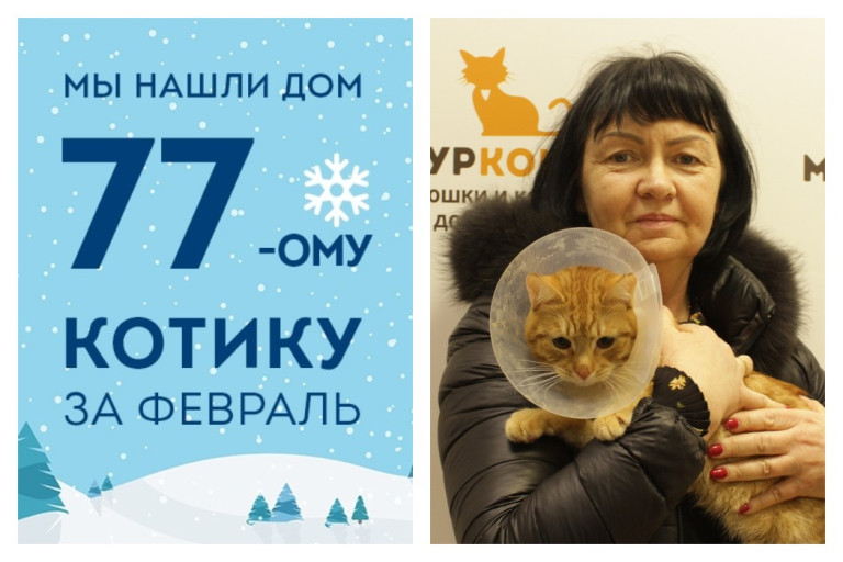 Спустя три недели в приюте домой уезжает котик Амаретто!