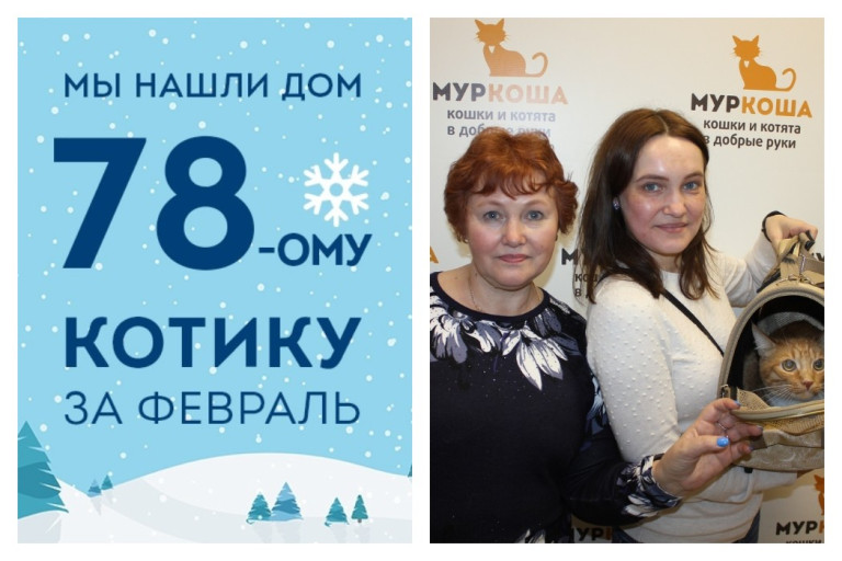 Кот Рикардо снова стал домашним любимцем!