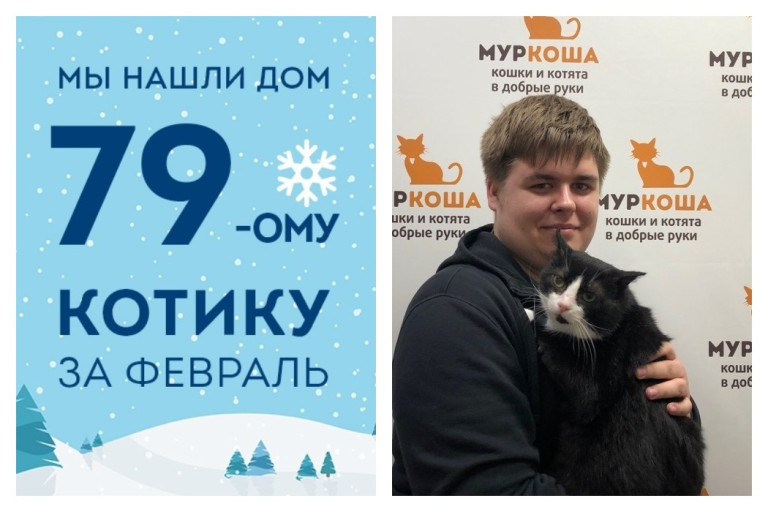 Котик Вихрь встретил ответственного хозяина!