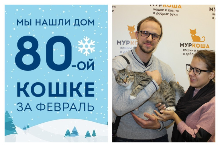 У кошки Пелагеи появилась семья и уютный дом!