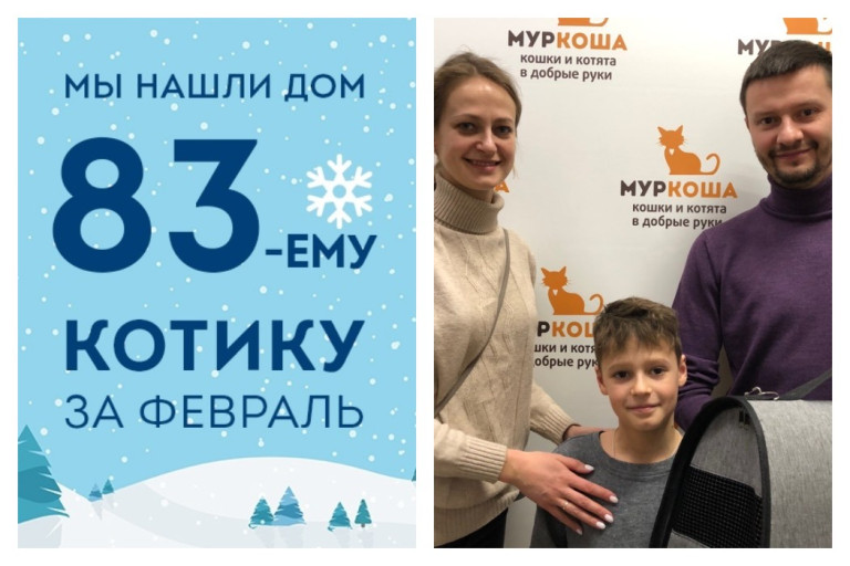 Котенок Апельсин стал домашним за три недели!