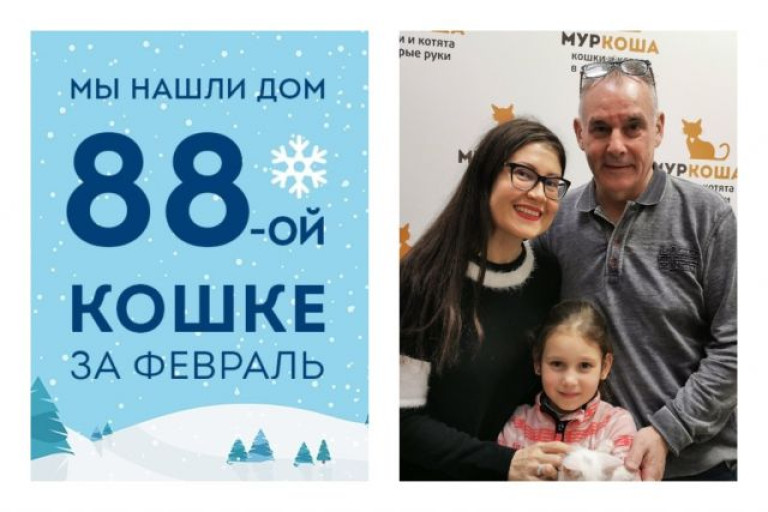 Мы смогли найти дом котенку Снегурочке меньше чем за два месяца!