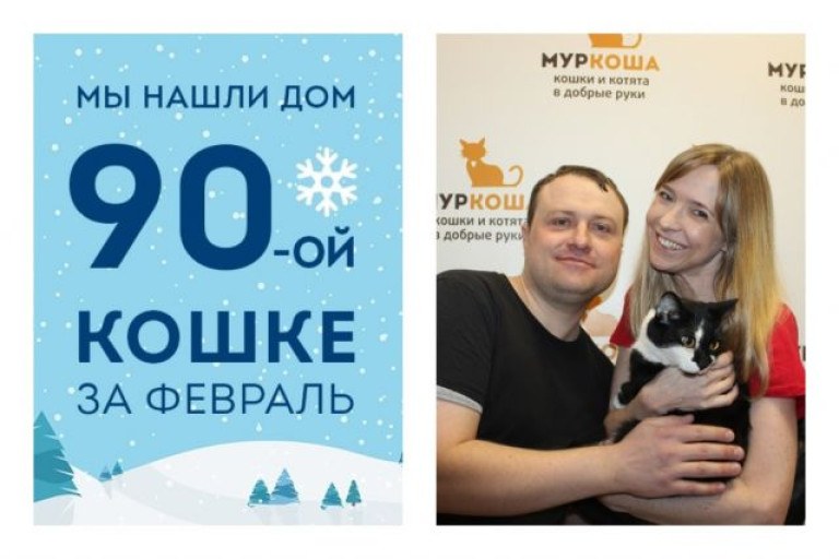 Мы помогли кошке Ягодке встретить свою семью всего за полтора месяца!