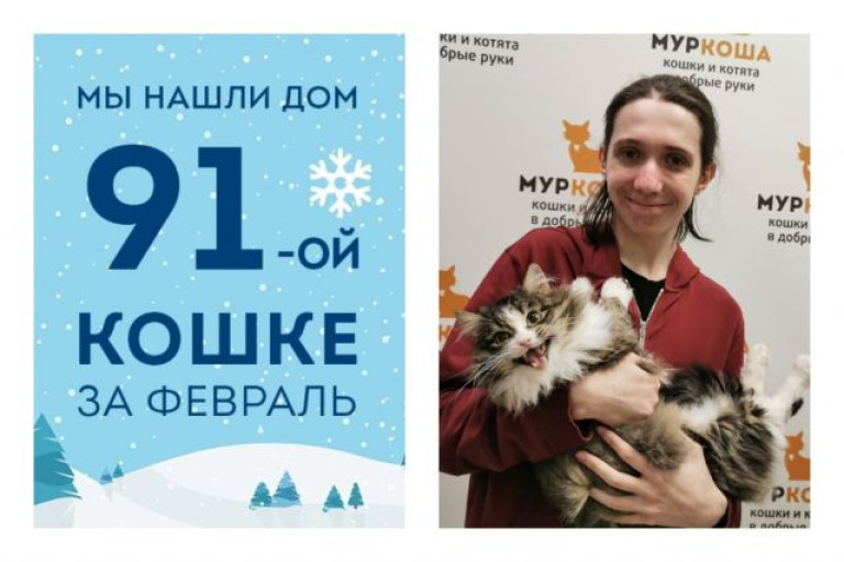Годовалая кошечка Стася отправляется домой!