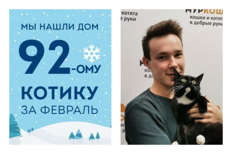 Спустя две недели в приюте котик Гринго стал домашним и любимым!