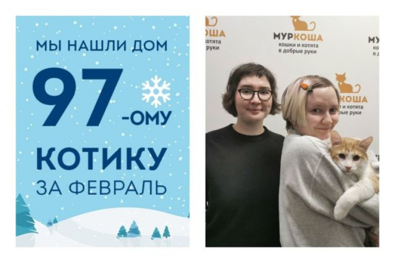 Уличный котик Звонарь стал домашним меньше чем за два месяца!