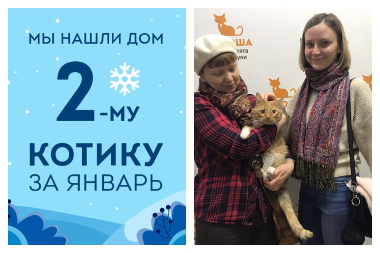 В новый год Аватар начинает новую жизнь!