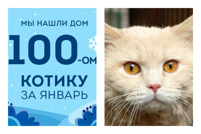 Мы смогли найти дом Орегону всего за один месяц!