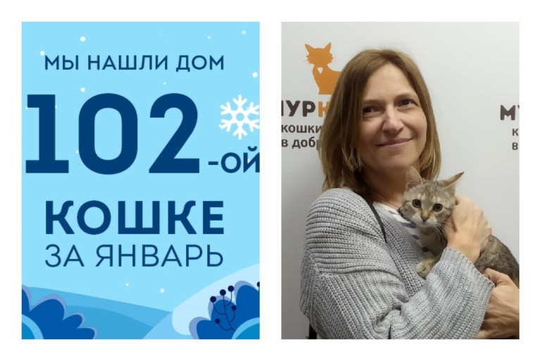 Кошечка Балеринка стала домашней всего за три недели!