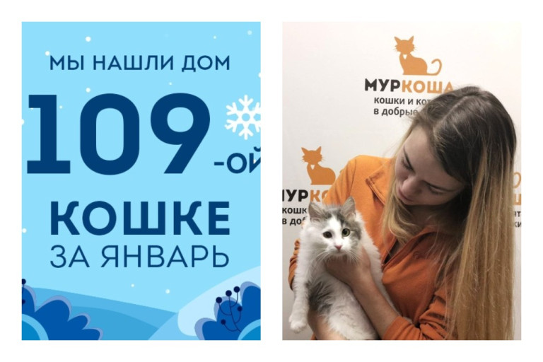 Крошке Пальмочке вновь улыбнулась удача!
