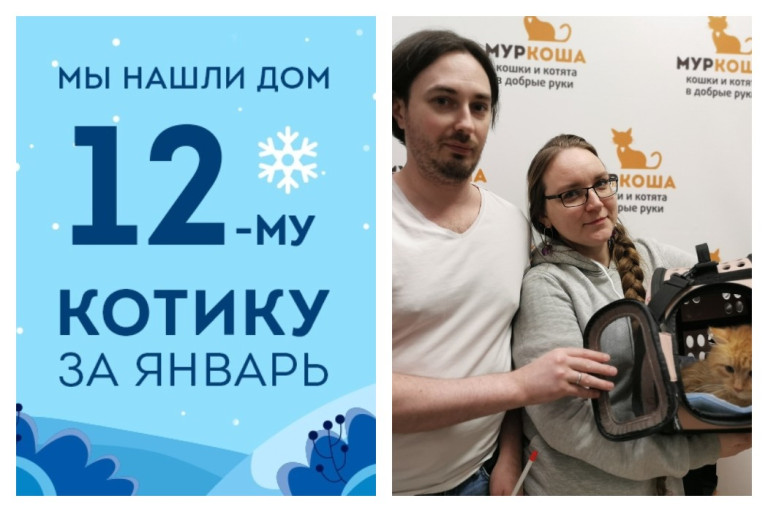 Двухлетний кот Хвостик снова стал домашним!