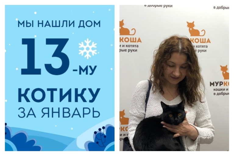 Котенок Корби стал домашним любимцем!