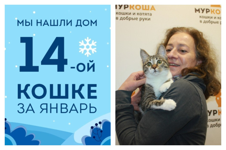 Потребовалось меньше двух месяцев, чтобы найти хозяйку для Айси!