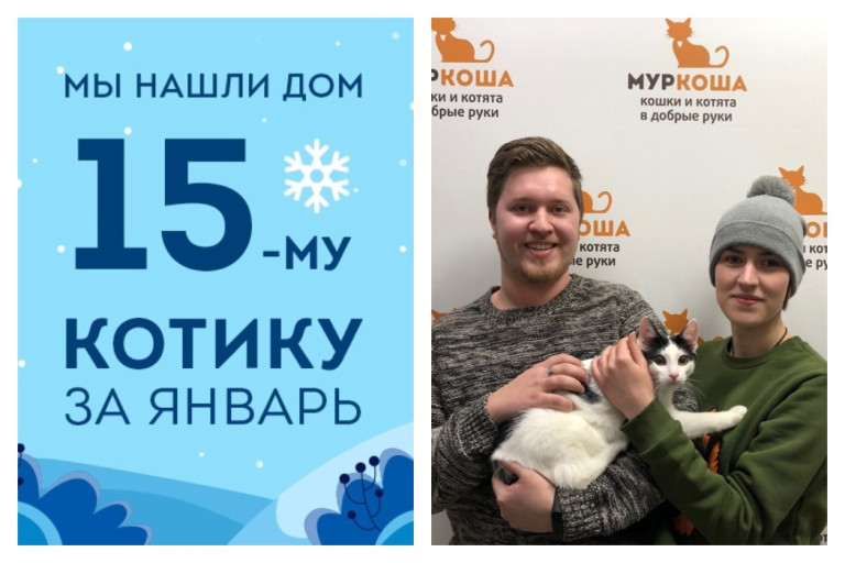 У семимесячного котика Валанса появилась семья!