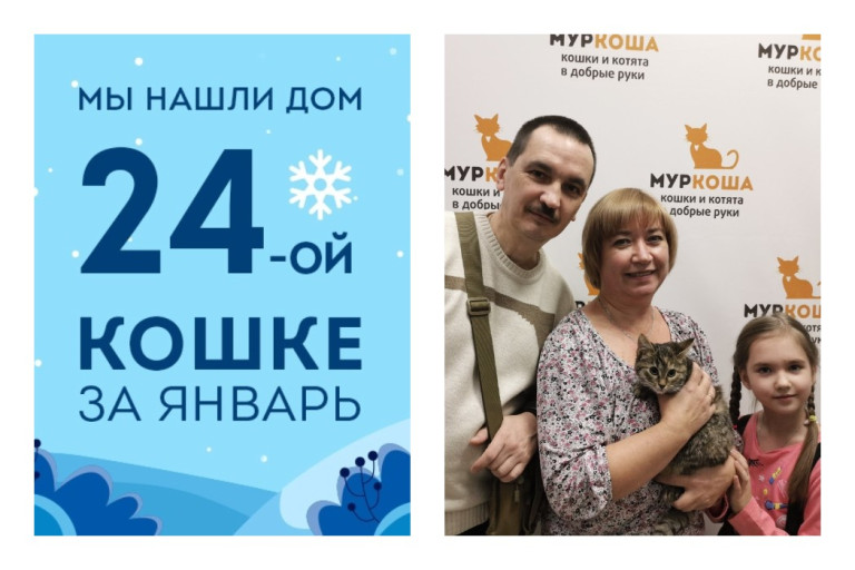 Счастливое Рождество котенка Цыпы!
