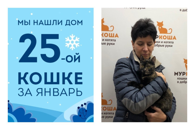 Кошечка Девчуля рада познакомить вас со своей хозяйкой!