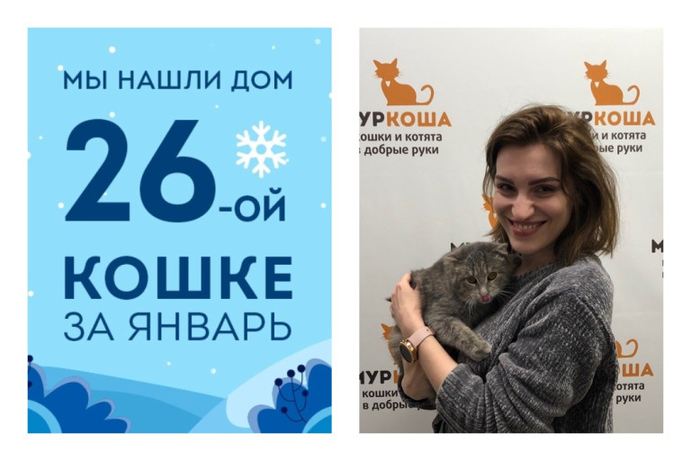 Кошка Энка встретила хозяйку спустя два месяца в приюте!