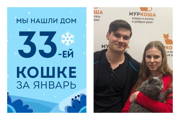 Рождественское чудо для двухлетней кошки Флориды!