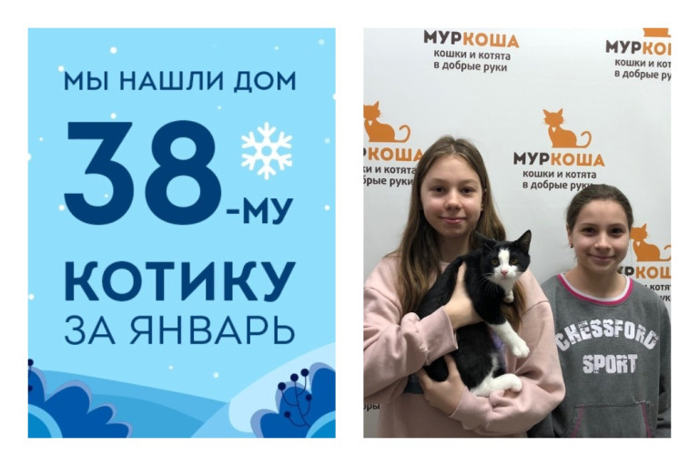 Котенок Пиратик обрел семью всего за три недели!