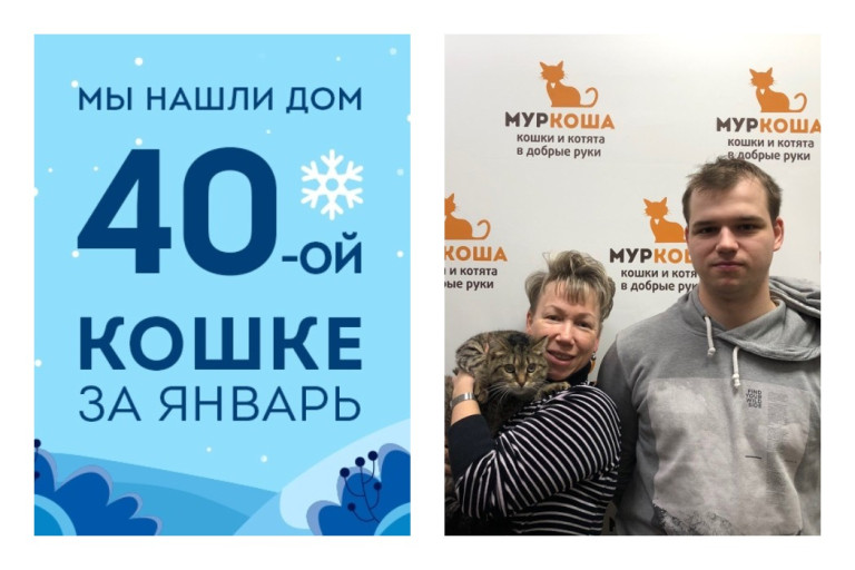 Кошка Шуба снова стала домашней после смерти хозяйки