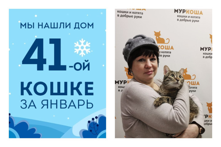 У кошки Евы появилась любящая хозяйка!