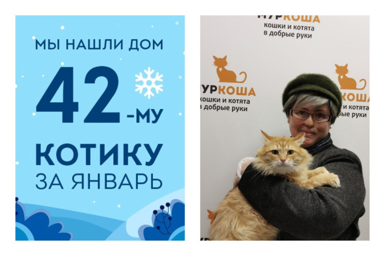 Котик Амиго рад познакомить вас с своей хозяйкой!