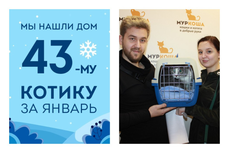 Старожил приюта, котик Титан, наконец стал домашним!
