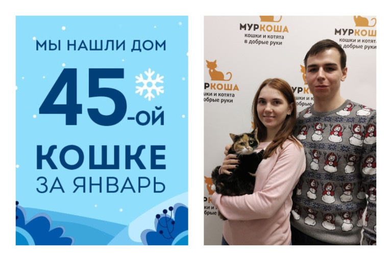 Преданная людьми кошка Марсиана снова стала домашней!
