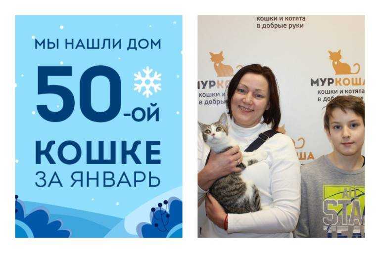 Мы познакомили кошку Тануку с ее новой семьей всего за полтора месяца!