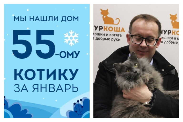 Ровно за месяц котик Локиус снова стал домашним!