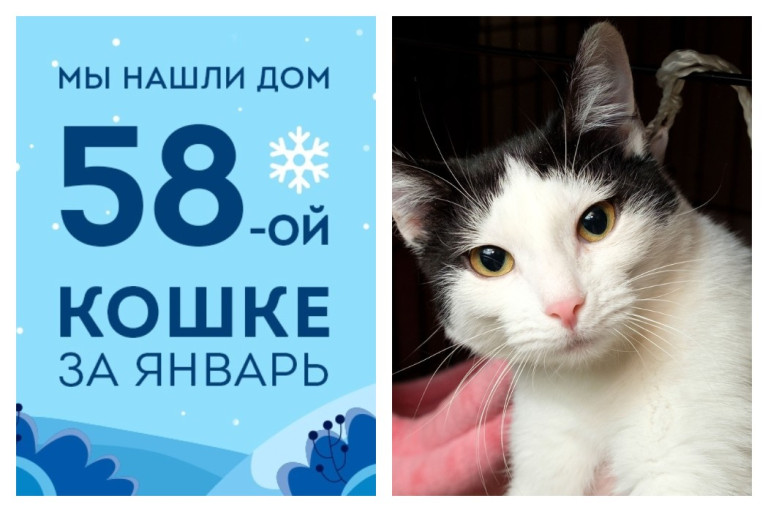 Провожаем домой десятимесячную Грау!