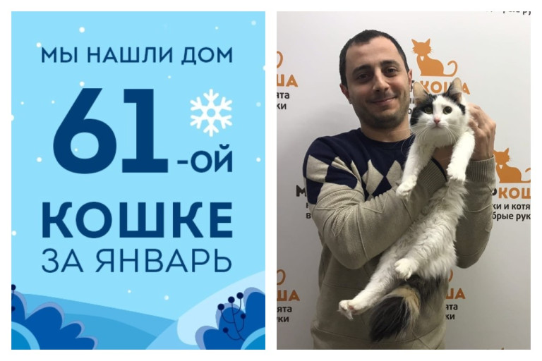 Ура! У кошечки Доры из подвала появился хозяин!