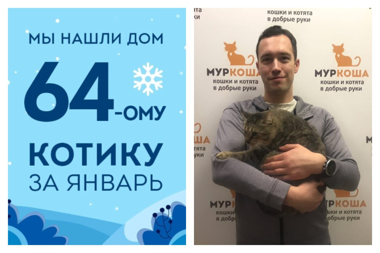 Мистер Шпрот рад познакомить вас со своим хозяином!