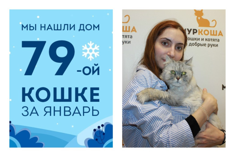 Спустя полтора месяца в приюте домой уезжает кошка Леюшка!