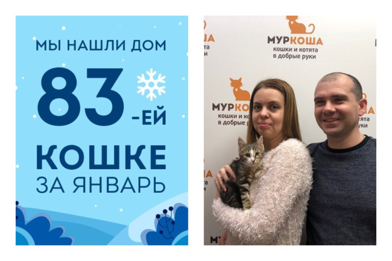 Котенок Кроша стала домашней любимицей!