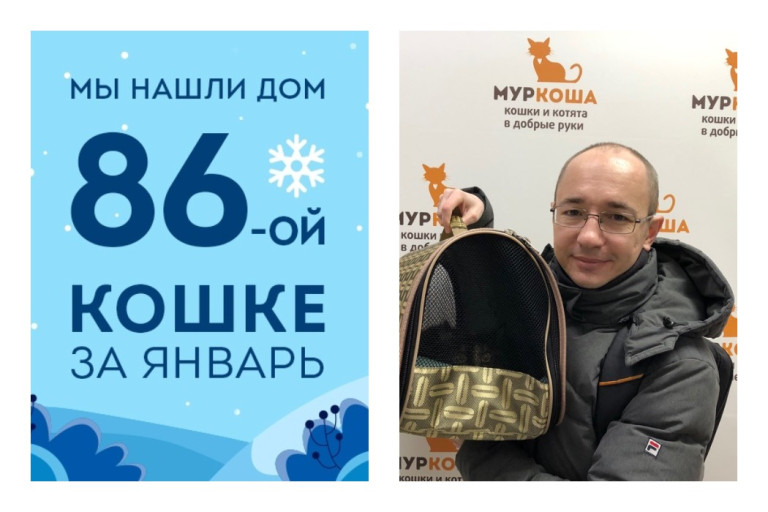 Провожаем домой четырехлетнюю кошку Пенелопу!