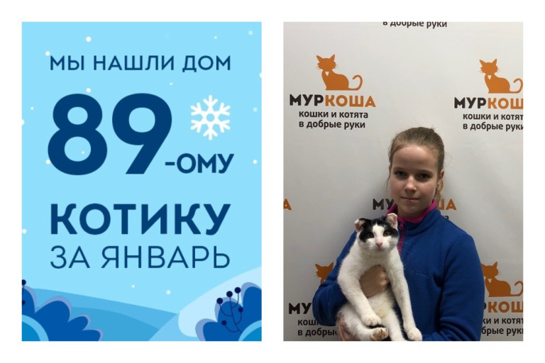 Мы смогли найти семью для котенка Лакричника за полтора месяца!