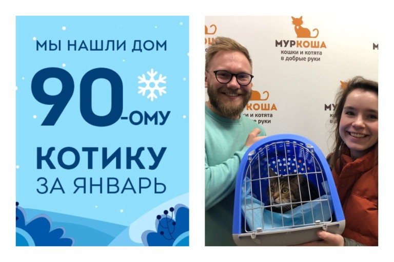 Брошенному человеком коту Стенли улыбнулась удача!