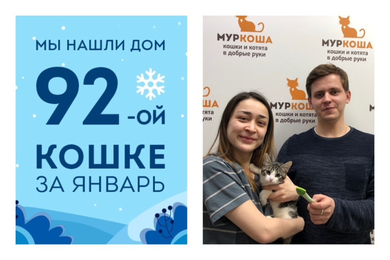 Ровно за месяц малышка Иваси, найденная на помойке, стала домашней!