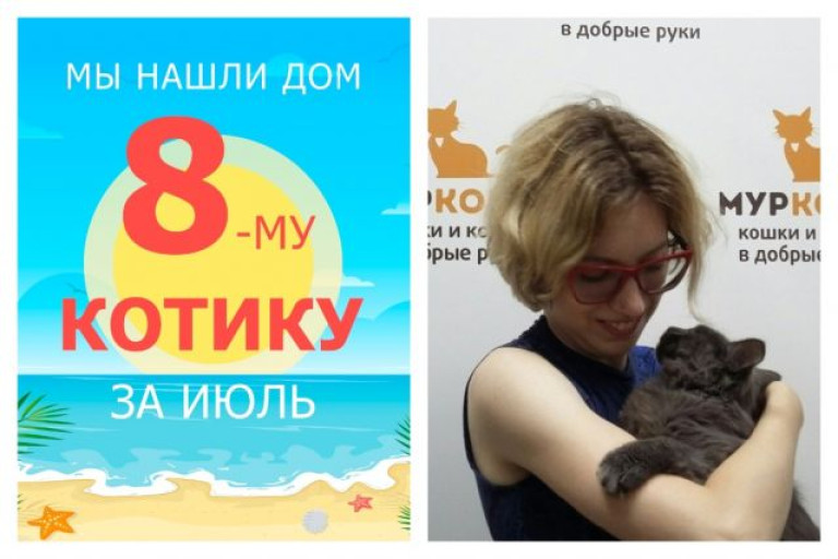 Котик Чаки отправился в новую домашнюю жизнь!