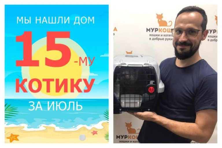 Котик Неаполь уезжает в новый дом!