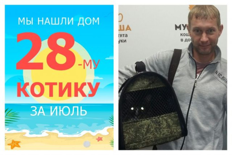 Трехлетний котик Фродо начинает жизнь с чистого листа!