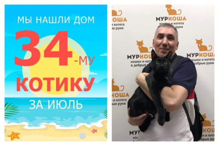 Котик Мохито уезжает в свой новый дом!