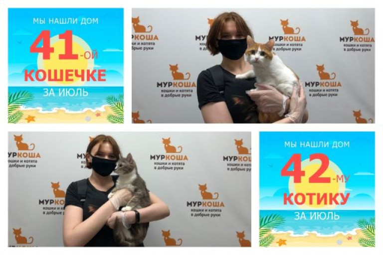 Кошечка Рыжуля и котик Усатик отправляются вместе в новый дом!