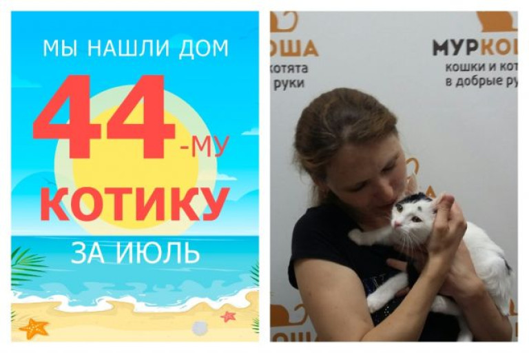 Малыш Митиль теперь домашний и любимый!