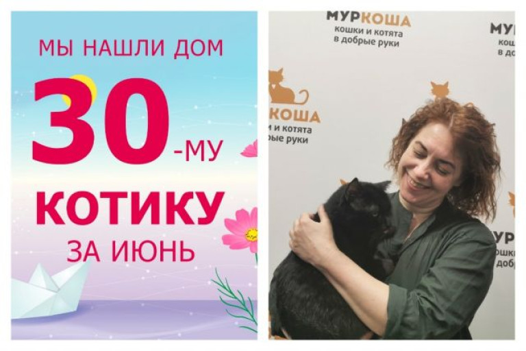 Уезжает в новый дом котик Шерл!