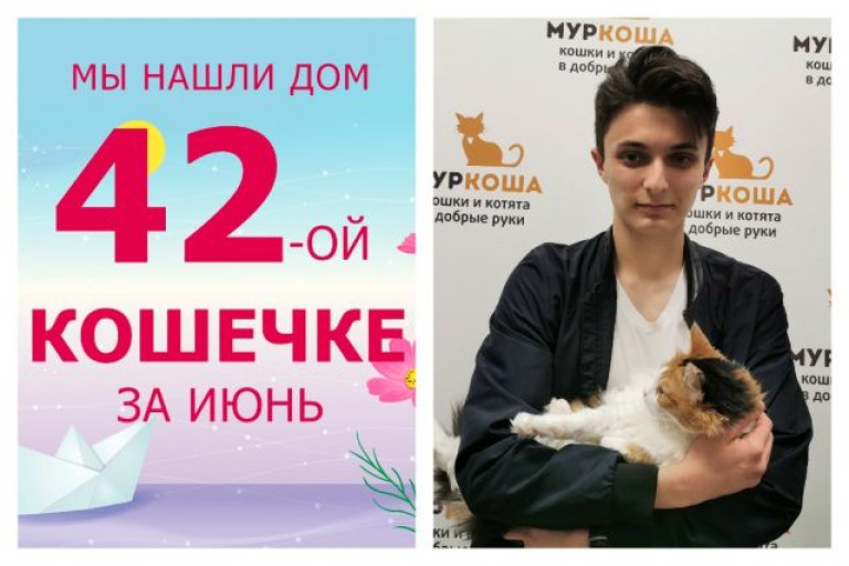 Кошечка Симуля начинает жизнь с чистого листа!