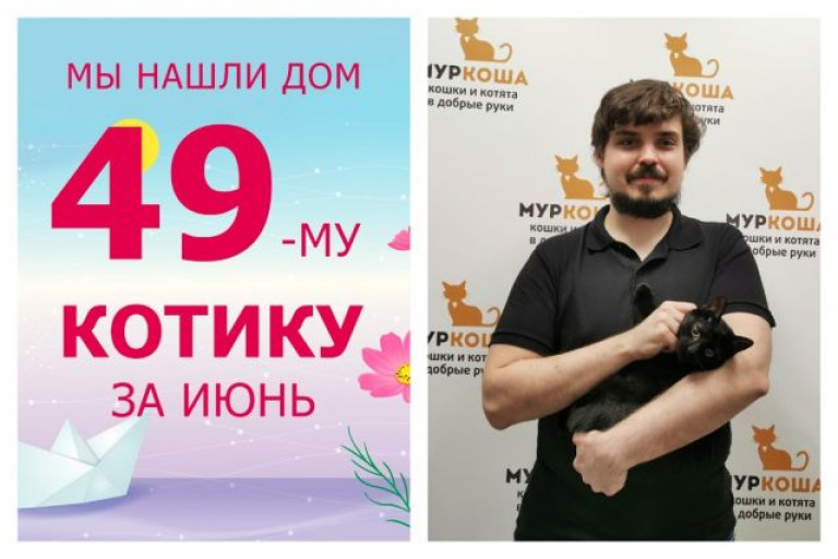 Юный котик Харли нашел дом за три недели!