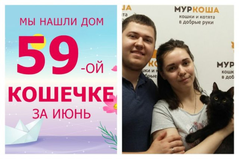 Кошечка Джекса стала домашней и любимой!