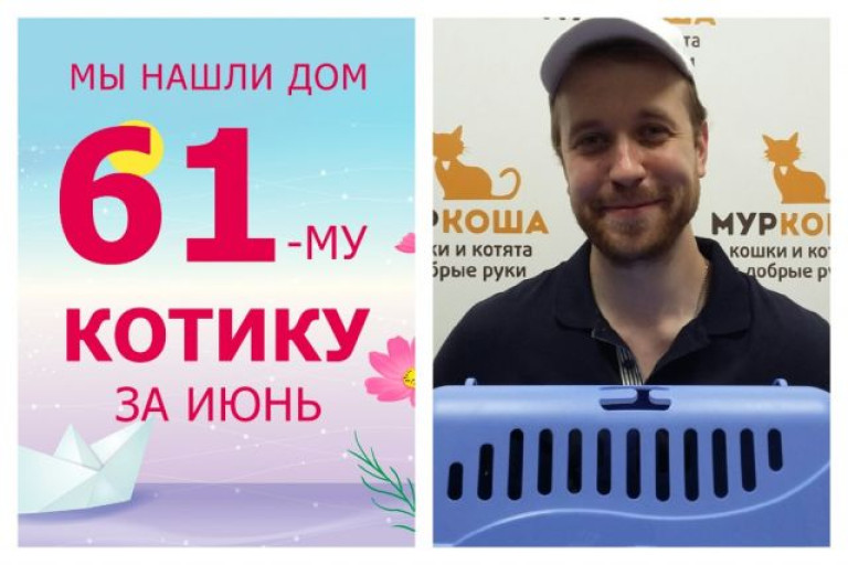 Котик Чегеваро начинает жизнь с чистого листа!